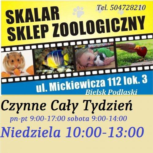 Sklep Zoologiczny Skalar - Bielsk Podlaski