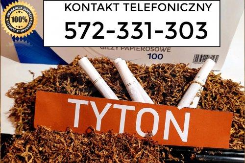 Znakomity TYTOŃ 65PLN/1KG