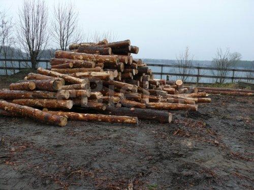 Drewno sosnowe użytkowe