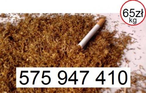 Tani tytoń dostawa 24h 65zl/kg najlepszy tyton papierosowy