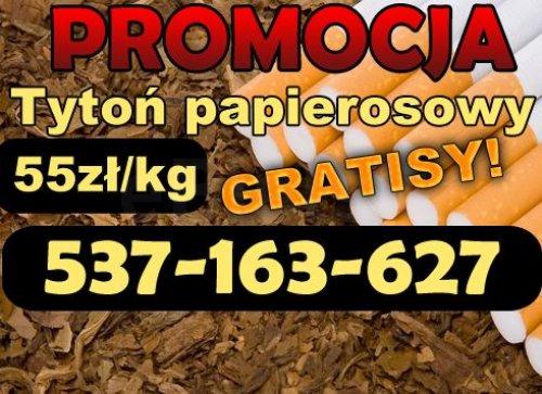 Tani tytoń! Promocja! 55zl/kg LM Light Viceroy RGD Camel Marlboro