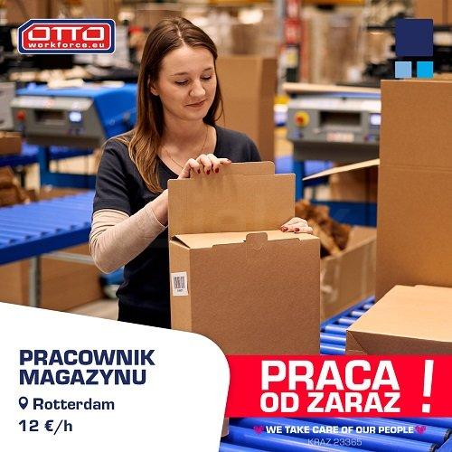 Zacznij pracę w nowoczesnym magazynie sieci JingDong - NL