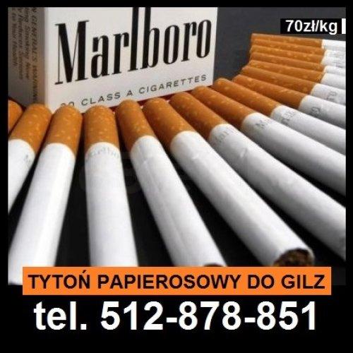 Tyton papierosowy 1kg 70 zł !! 24h wysyłka !! tani tyton