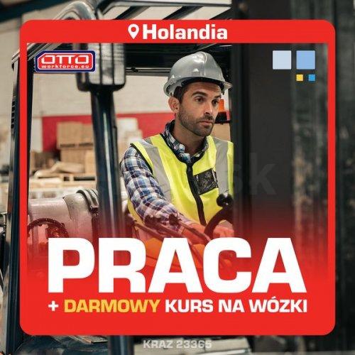 Darmowy kurs na wózek widłowy gwarantowana praca Holandia