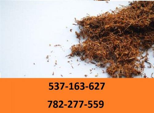 tytoń papierosowy-najlepsza jakość-70zl/kg