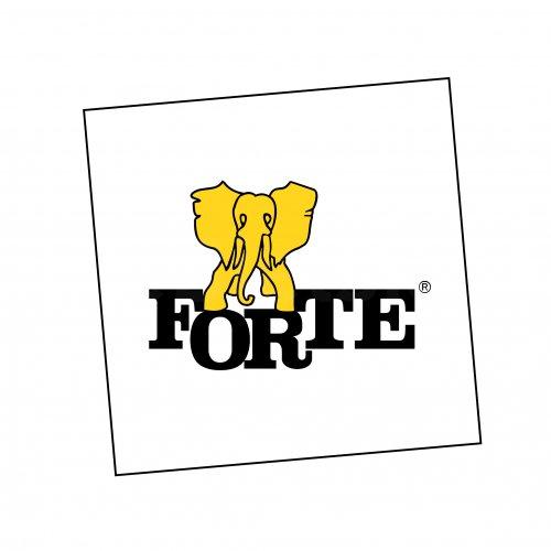Fabryki Mebli Forte S.A. w Hajnówce poszukują:PRACOWNIKA MAGAZYNOWEGO / KIEROWCĘ WÓZKA WIDŁOWEGO