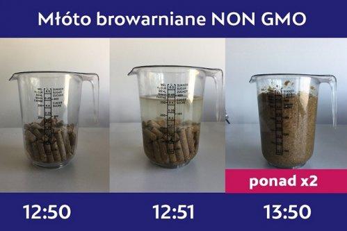 Młóto browarniane suche ? wolne od GMO ? dostawa od 1 tony