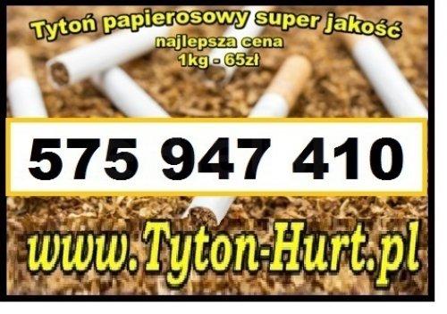 Tani tytoń dostawa 24h 65zl/kg najlepszy tyton papierosowy 575-947-410 