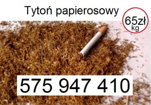 Tytoń papierosowy tanie tytonie sklepowa jakość 65zł/kg zadzwoń 575947410