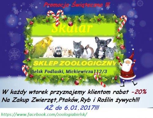 Sklep Zoologiczny Skalar - Bielsk Podlaski