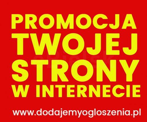 Promocja Twojej firmy 1000 Ogłoszeń + GRATIS 5000 PORTALI 