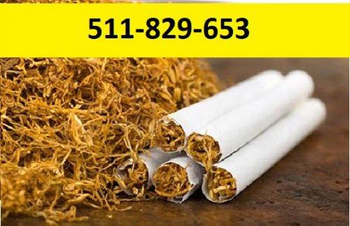 tytoń-różne rodzaje