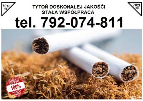 Tytoń papierosowy dobra jakość, stała współpraca 70zł/kg