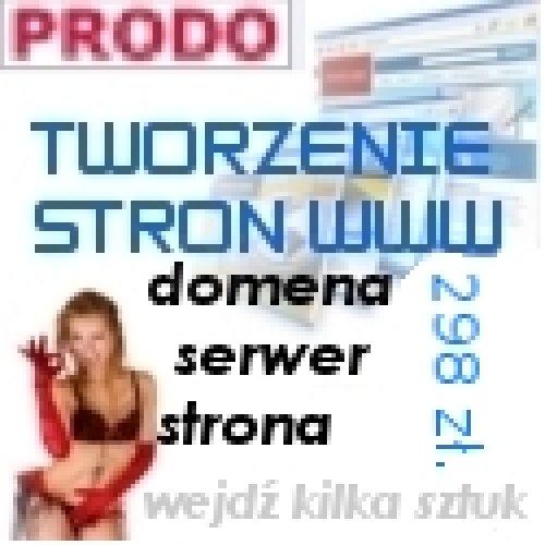 Wykonanie strony internetowej w cenie 298 zł. (brutto) !