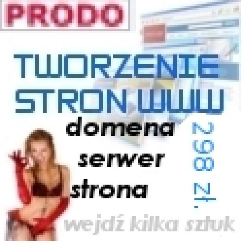 Wykonanie strony internetowej w cenie 298 zł. (brutto) ! 