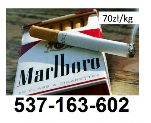 Tani tytoń 70zł/kg Gratisy dla stałych klientów! Dzwoń ! 537-163-602