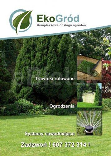 Projektowanie, zakładanie oraz pielęgnacja ogrodów i terenów zielonych