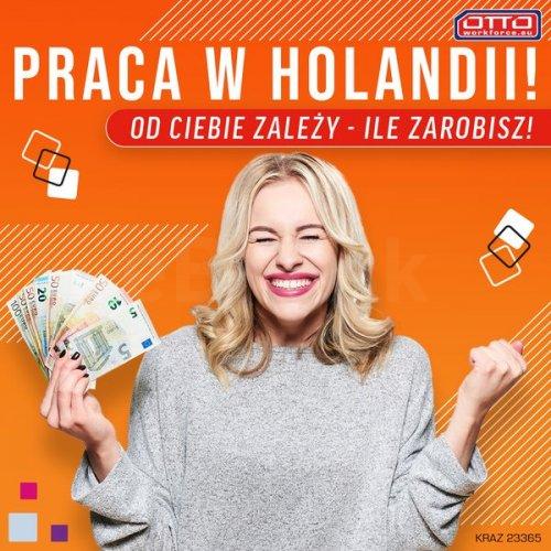 Zbieranie zamówień - bez języka i doświadczenia- Holandia!