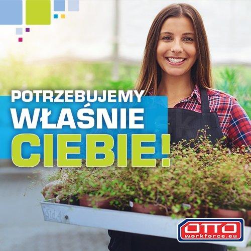 Praca z ziołami bez znajomości języka angielskiego- NL